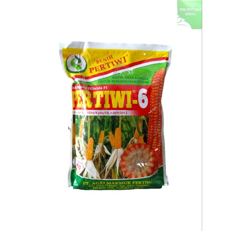 

Pertiwi 6