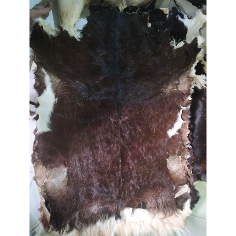 

media kulit kambing 75x45