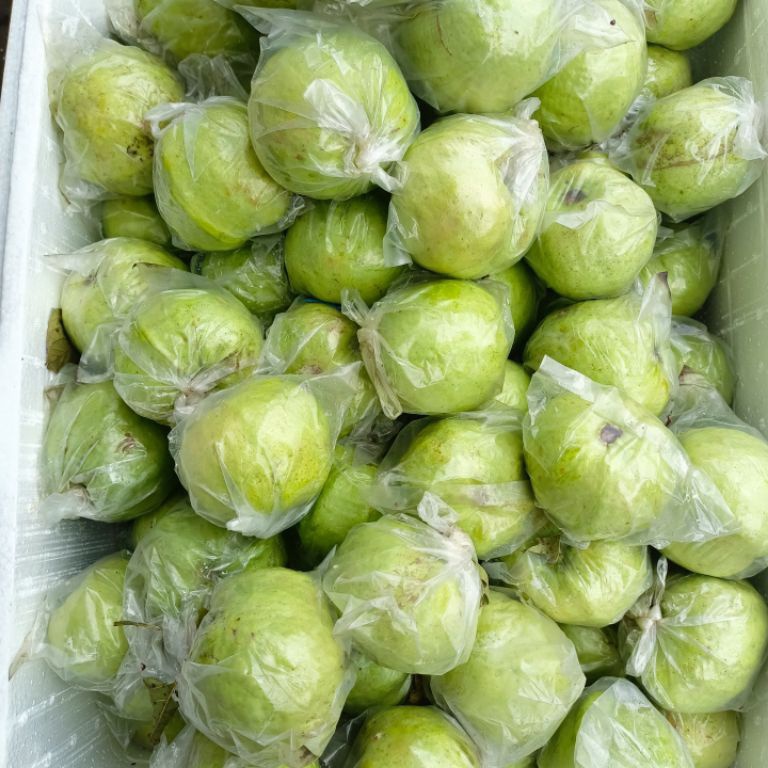 

Splash jambu kristal 1 kg