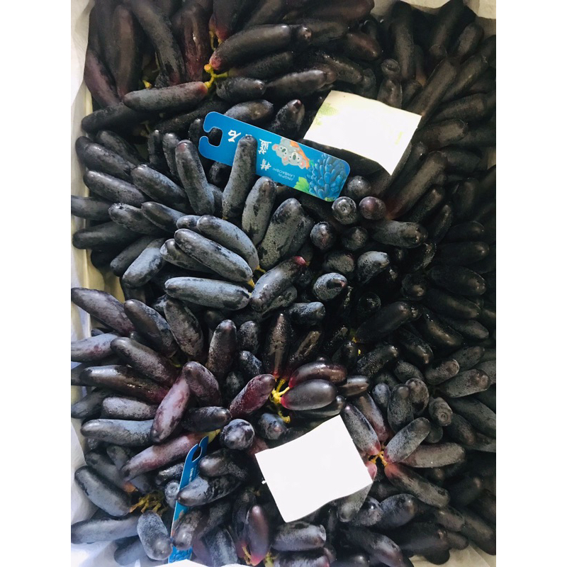 Anggur Jari Hitam / Sweet Sapphire Black Grape Segar Tanpa Biji 500gram