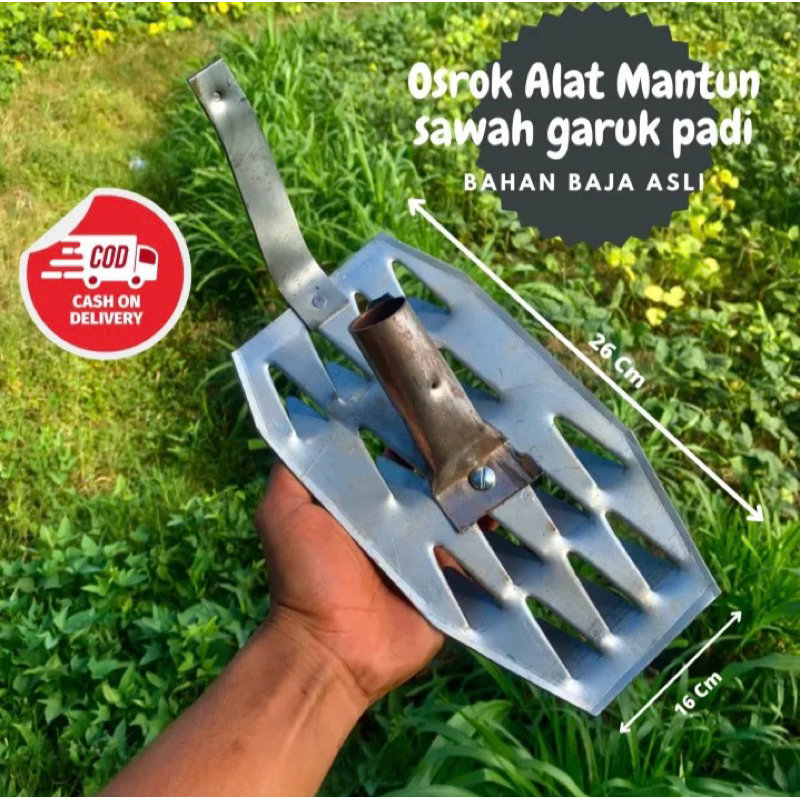Osrok Sawah Peyiangan Rumput Sawah - Alat Matun Osrok Padi - Garuk Pembersih Gulma Sawah Suket Sawah