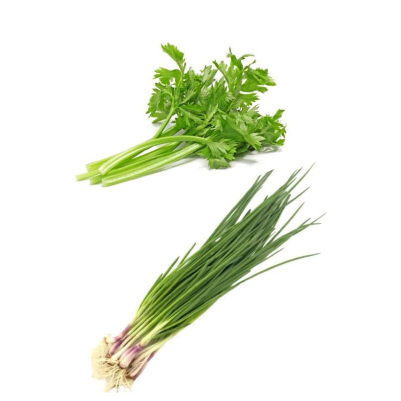 

Daun Bawang Seledri 1 ikat