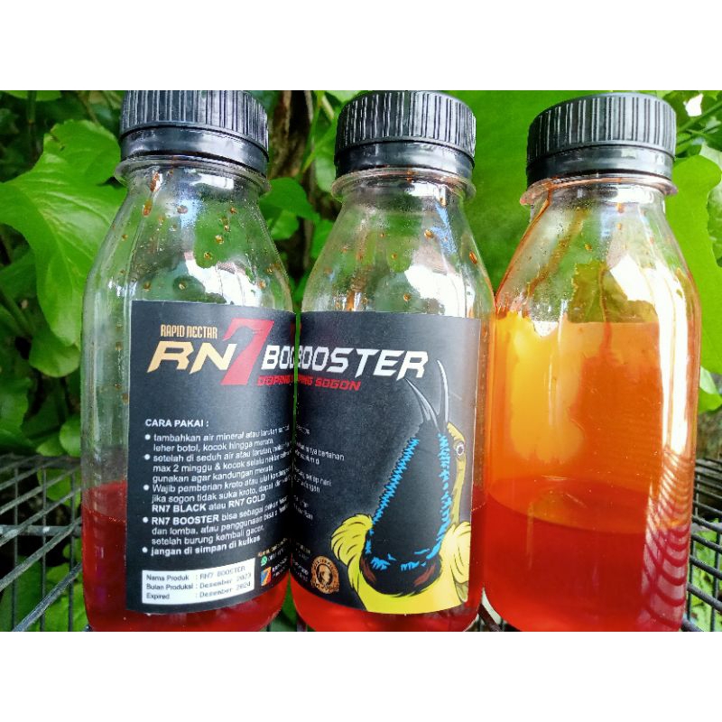 RN7 Booster Pleci Sogon Untuk Doping Lomba