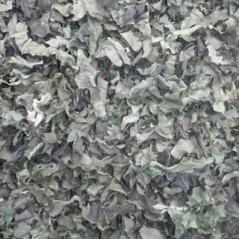 

daun Afrika kering 100gr
