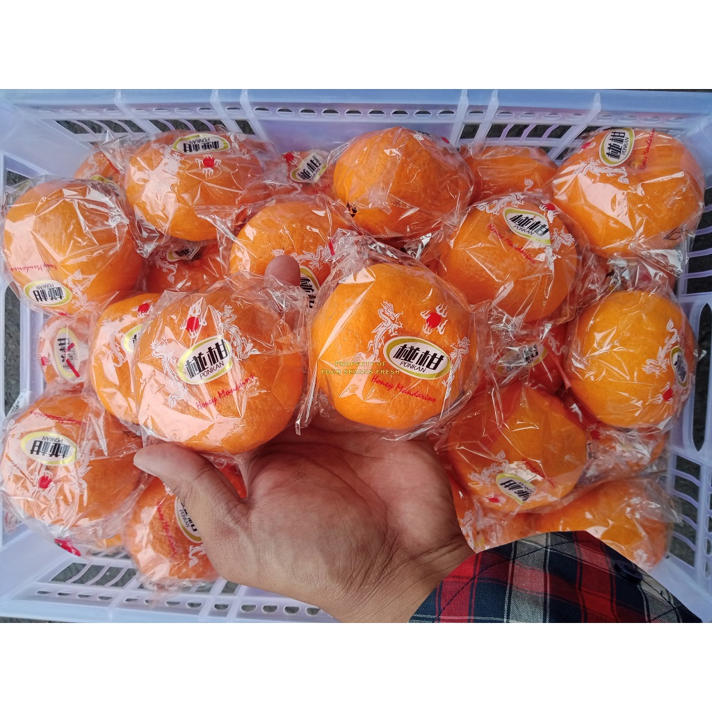

JERUK PONKAM 1 BOX SUPER RASA MANIS TERLARISSS