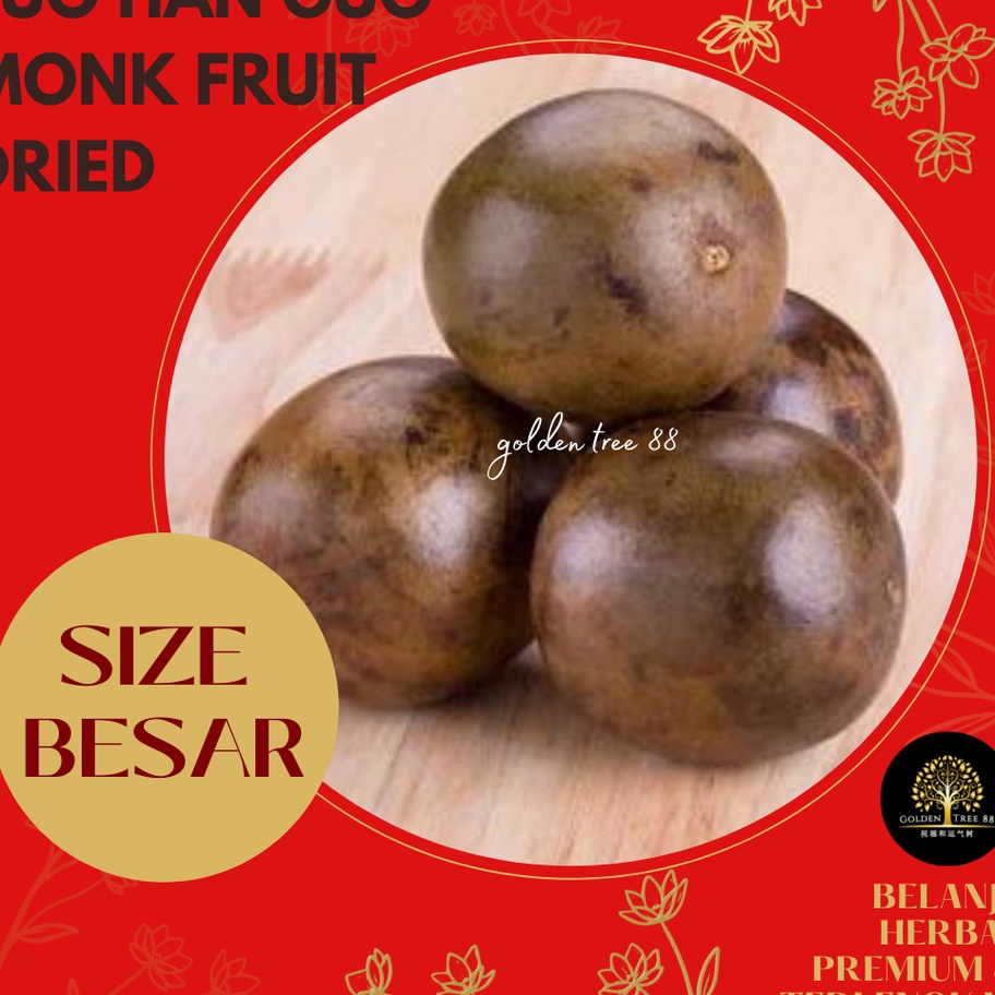 

D2289 Premium Buah Lo Han Kuo Lo Han Guo Asli Tiongkok Fresh Original Ukuran Besar dan Jumbo