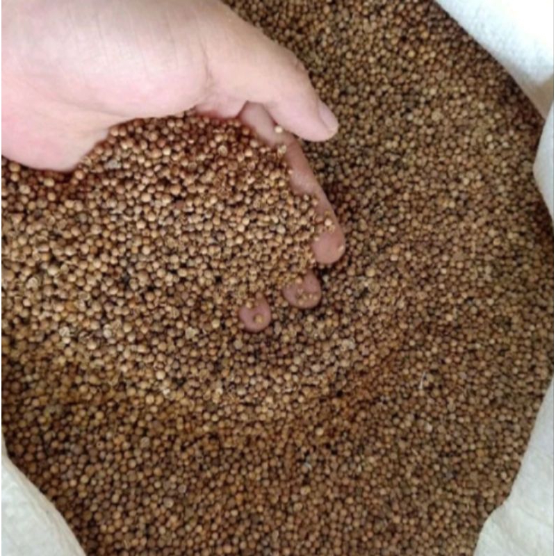

Ketumbar original 1000gr / 1kg