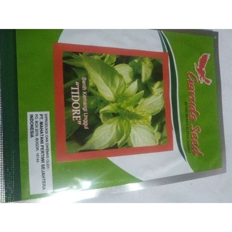 bibit/benih kemangi bibit siap tanam bibit kemangi super berkualitas