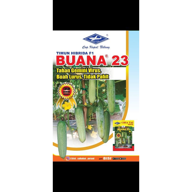 TIMUN F1 BUANA 23 20gr