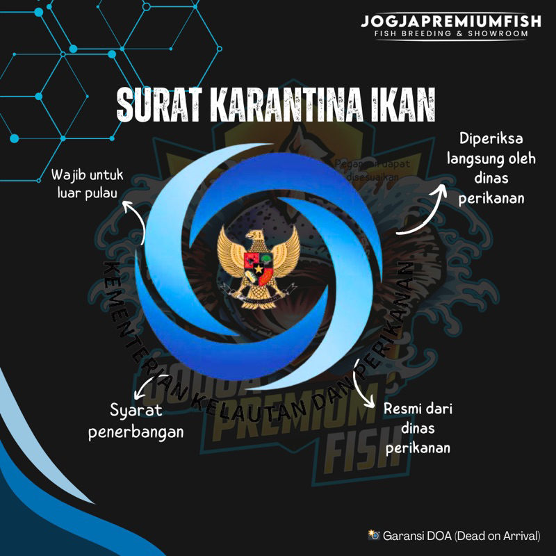 

LUAR PULAU JAWA WAJIB ORDER SURAT KARANTINA DAN PACKING
