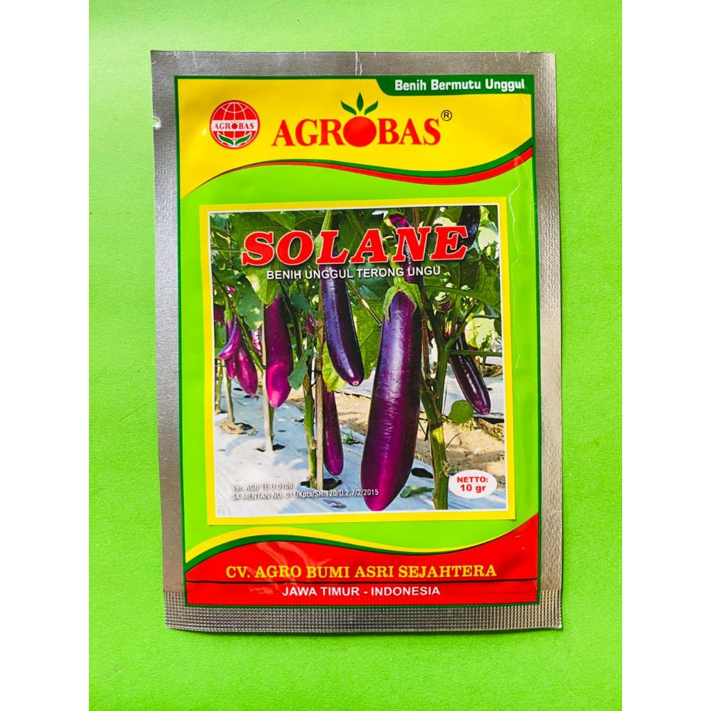 Benih Unggul Terong Ungu SOLANE 10gr