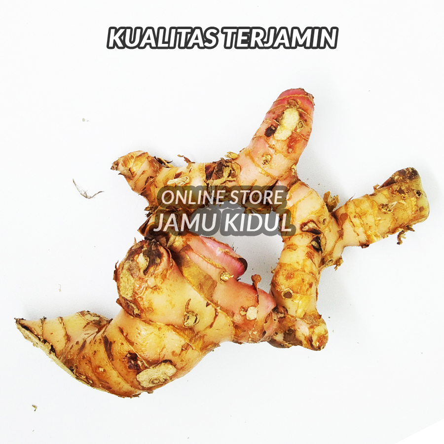 

Laos - Lengkuas Segar 250 Gr Murah