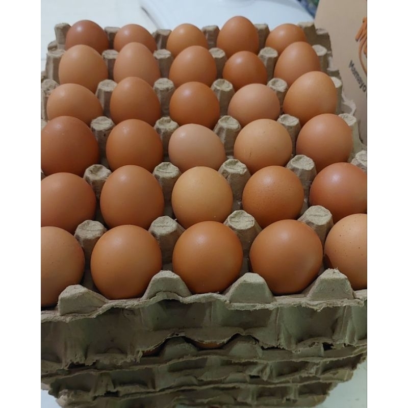 

Telur Ayam Negeri 1kg 16,17 - 18 butir (gojek instan/sameday)