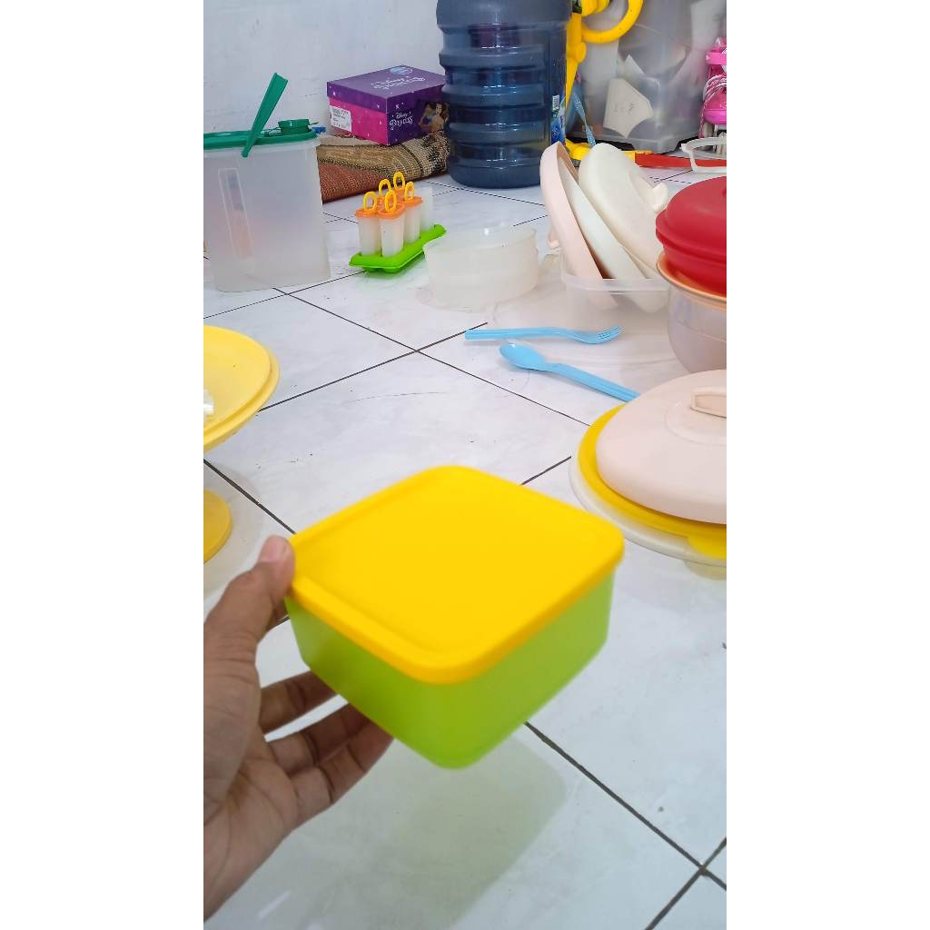 Tupperware Kotak 650 ml