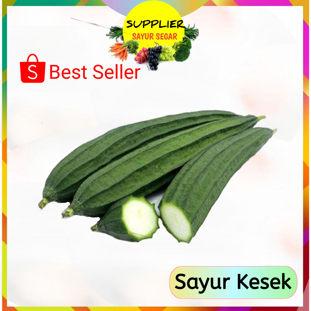 

Sayur Kesek Oyong 500 Gram - Supplier Sayuran Segar Palembang