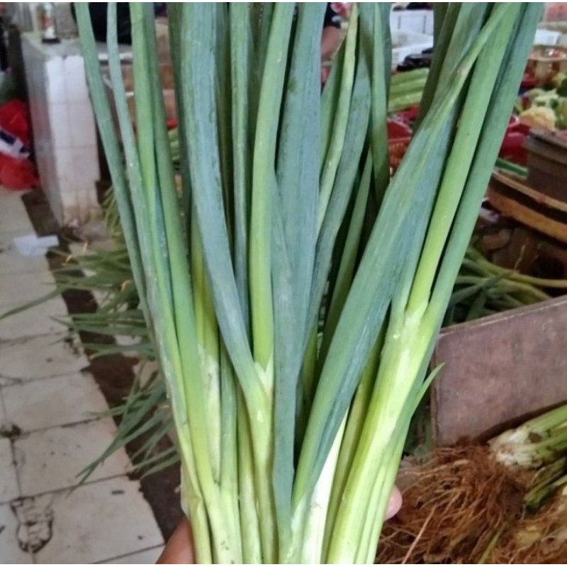 

Sayur/sayur segaran segar/sayur terdekat/Daun bawang fress 100 gram