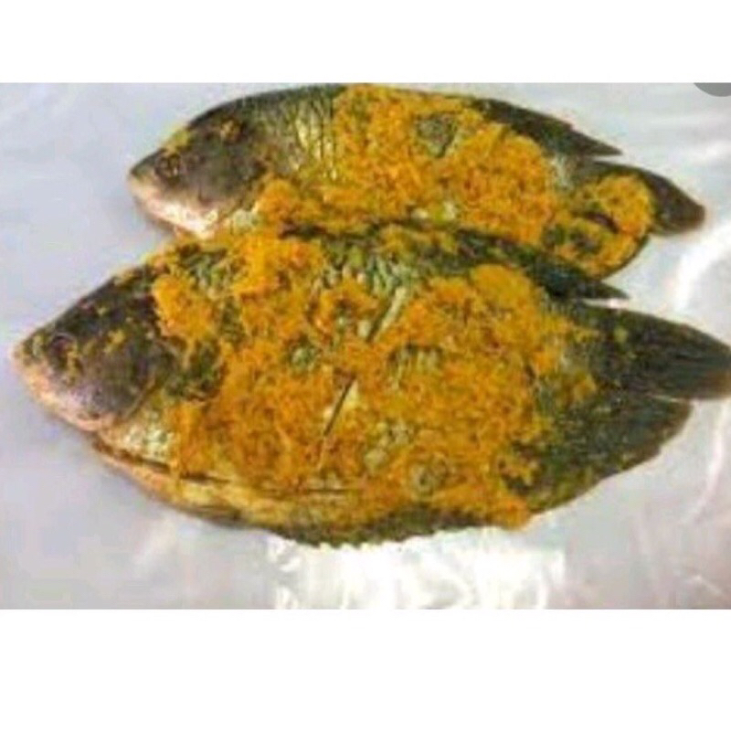 

ikan nila bumbu kuning siap masak ikan nila merah bumbu kuning siap masak foodprep ikan nila siap masak