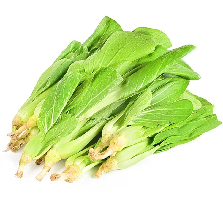 

Baby Pak Choi (Pakcoy) Organik 200 g