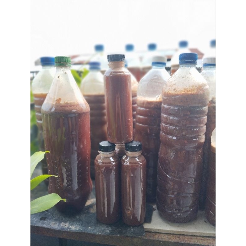 Biang Bakteri fotosintesis  (PSB ) air Jakaba Super