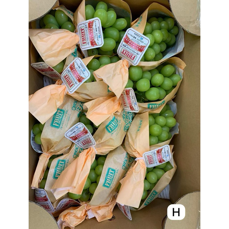 

NAGANO MUSCAT JAPAN HIGH QUALITY