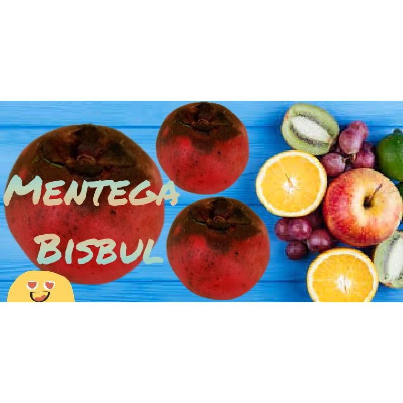 

buah mentega bisbul
