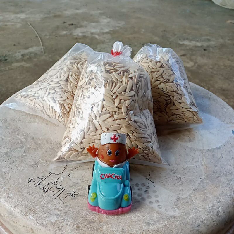 

timun kampung