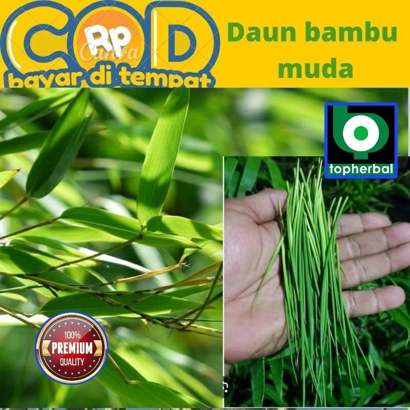 

Daun Bambu Segar/Fresh Organik 500 Gram