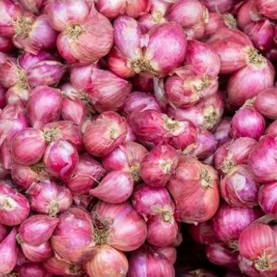 

bawang merah.