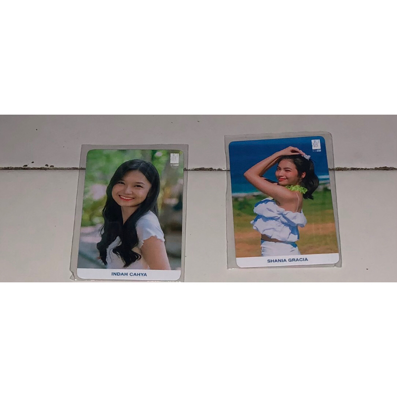 Photocard JKT48 Summertour MnG
