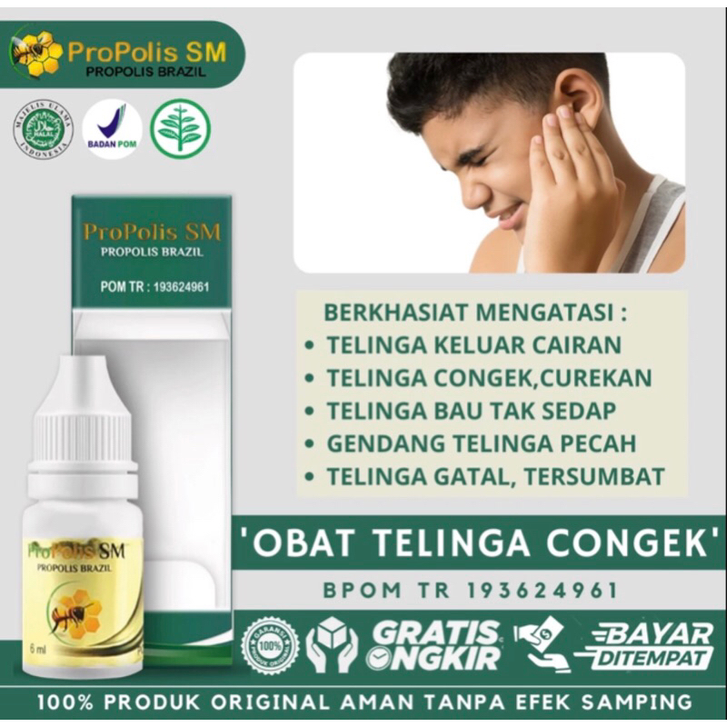 propolis SM brazil