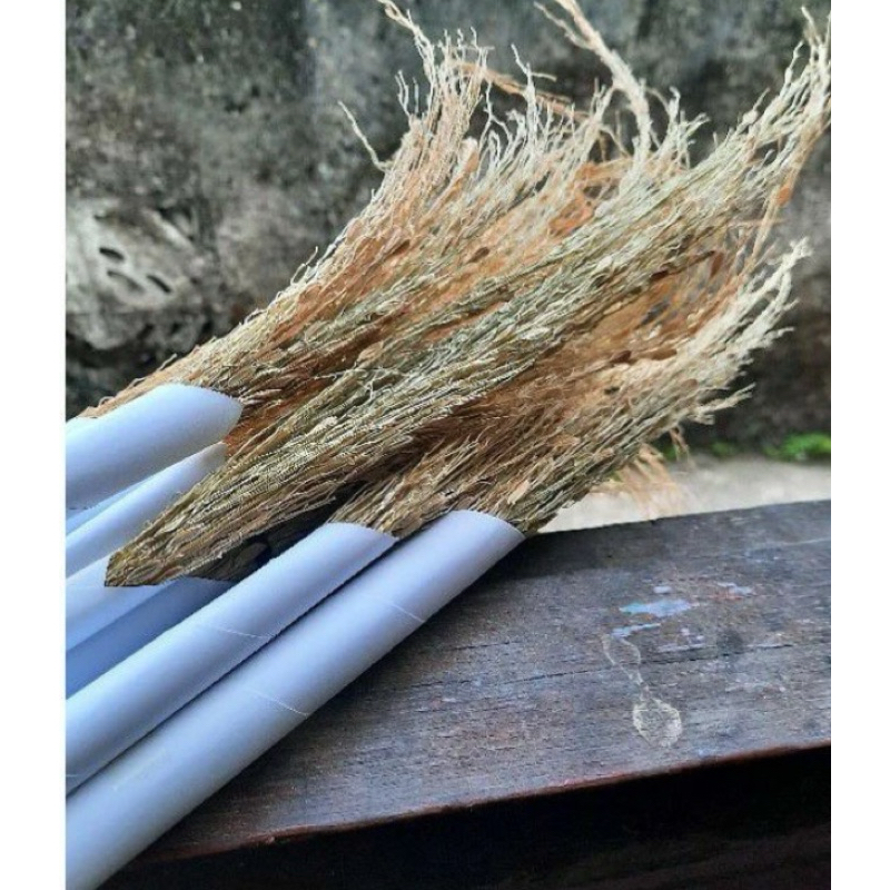 Merang ketan hitam / jerami ketan hitam perikat-az