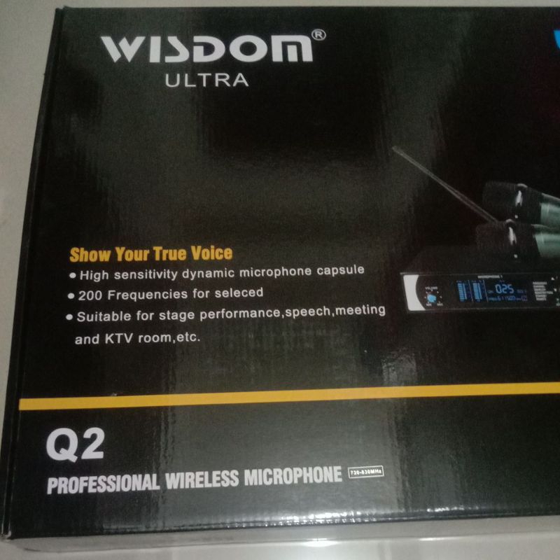 mic wisdom q2 original