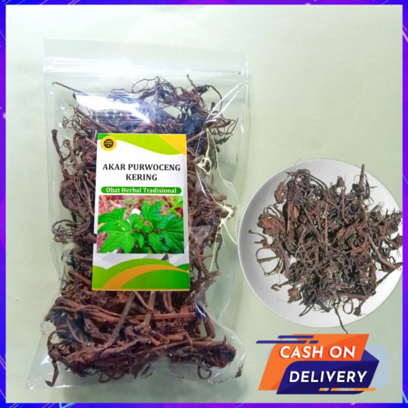 

Akar Purwaceng Kering