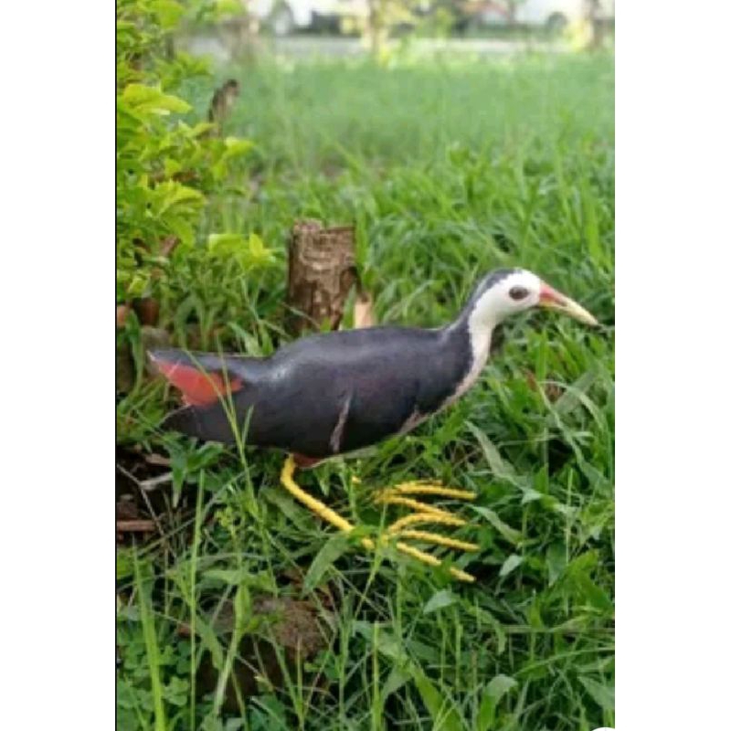 boneka patung jontrot ruak ruak