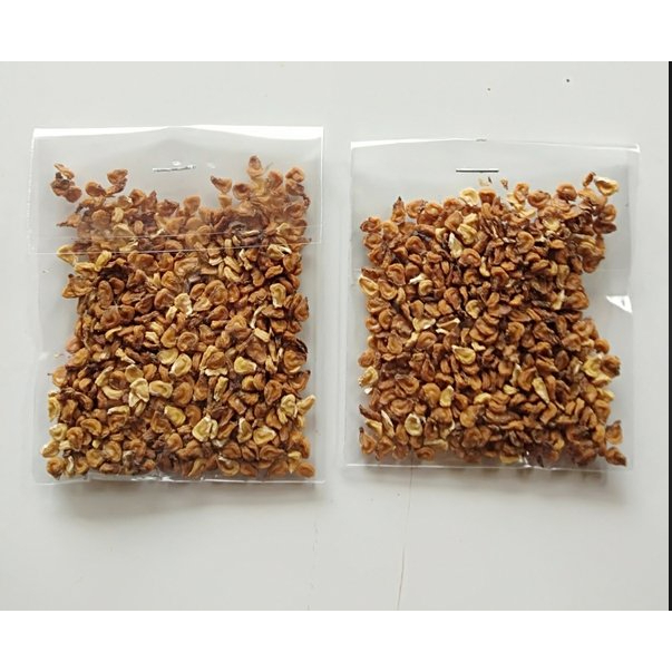 Biji Benih Kecubung Wulung Kering/Dried Kecubung Wulung Seeds