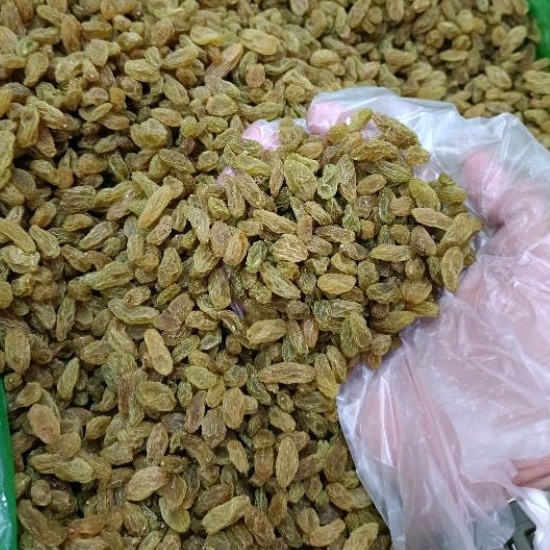 

Tidak Diragukan Kismis Hijau Premium Quality Green Raisin ALQ