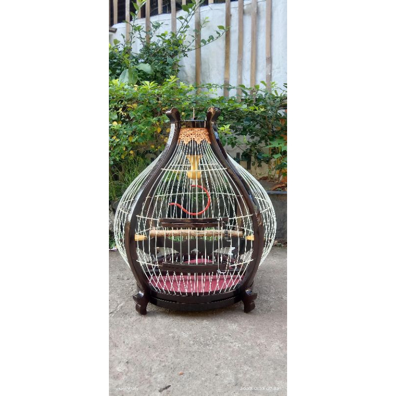 Sangkar perkutut sangkar kutut model bawang kayu jati ruji fiber tebok bisa lepas