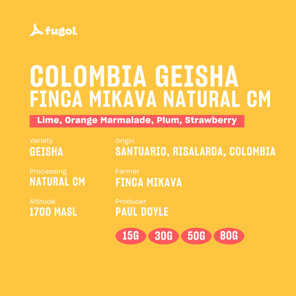 

COLOMBIA GEISHA FINCA MIKAVA NATURAL CM Single Origin Specialty Arabica Coffee