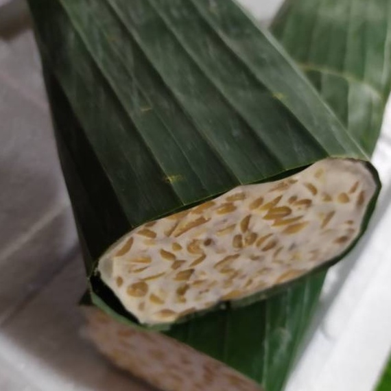 

LLVT724 PROMO MURAH Tempe6 gram