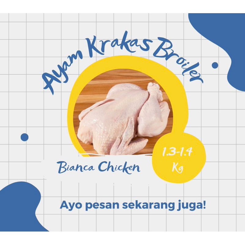 Ayam Karkas Broiler 1,3 -1,4 Kg