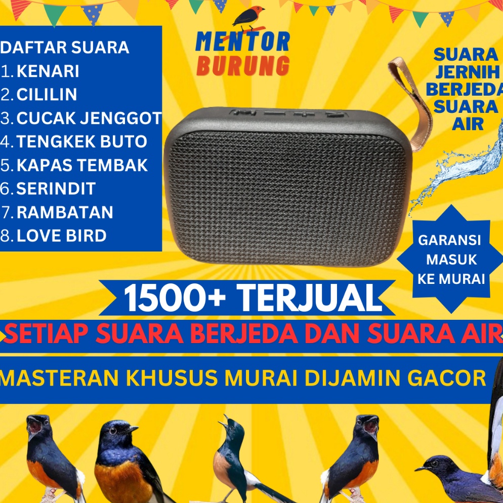 Special Edition Masteran Mp3 Khusus Burung Murai Batu Air Betina Pikatan Borneo Hutan Trotolan Burung Kicau Suara Jernih Dengan Suara Air Speaker Burung Murai Gacor Murah Berkualitas ENN