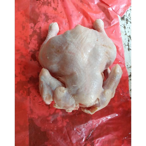 

HKBK9958 V44859 ayam bROILER FROZEN 5 sd 6kg ayam broilerayam potongayam negri