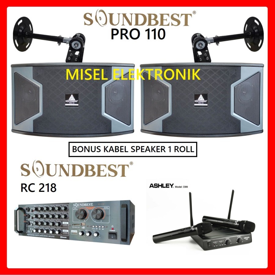 Paket Karaoke Rumah Speaker 10 Inch Soundbest PRO 110 MIc Ashley