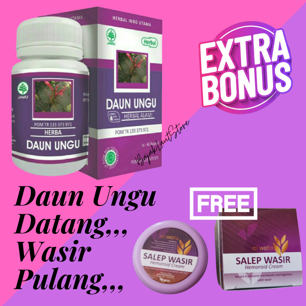 ( Bonus Salep Wasir ) Daun Ungu Obat Wasir Luar Dalam Ambeien Anus Berdarah Sembelit Gratis Salep Wa