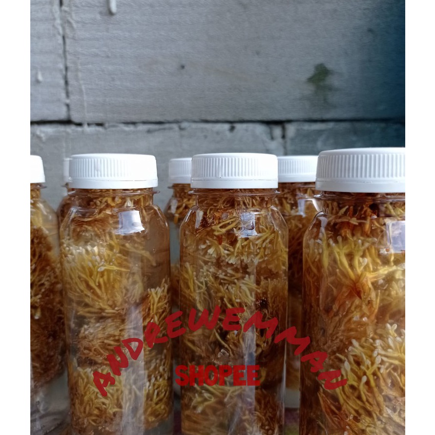 FSASH SALE spora bibit biang jamur JAKABA pupuk organik