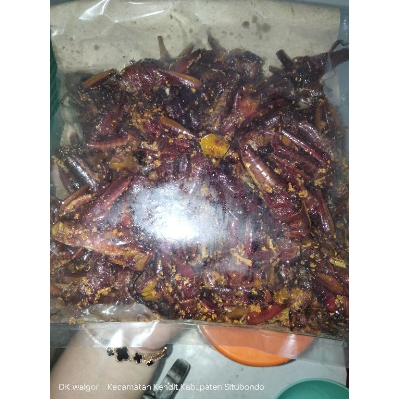 

belalang goreng kriyuk