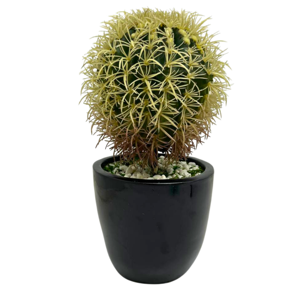 Cactus Middle Cactus Hias / Cactus Palsu / Cactus Import