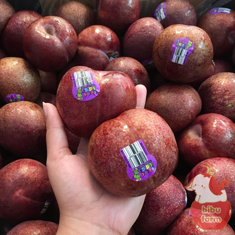 

Plum Crog Egg Red Berat/260 Gram