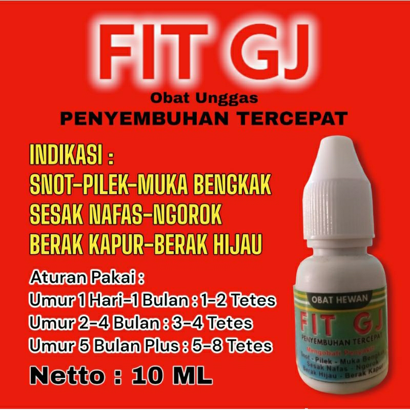 FIT GJ obat ayam Ngorok snot pilek