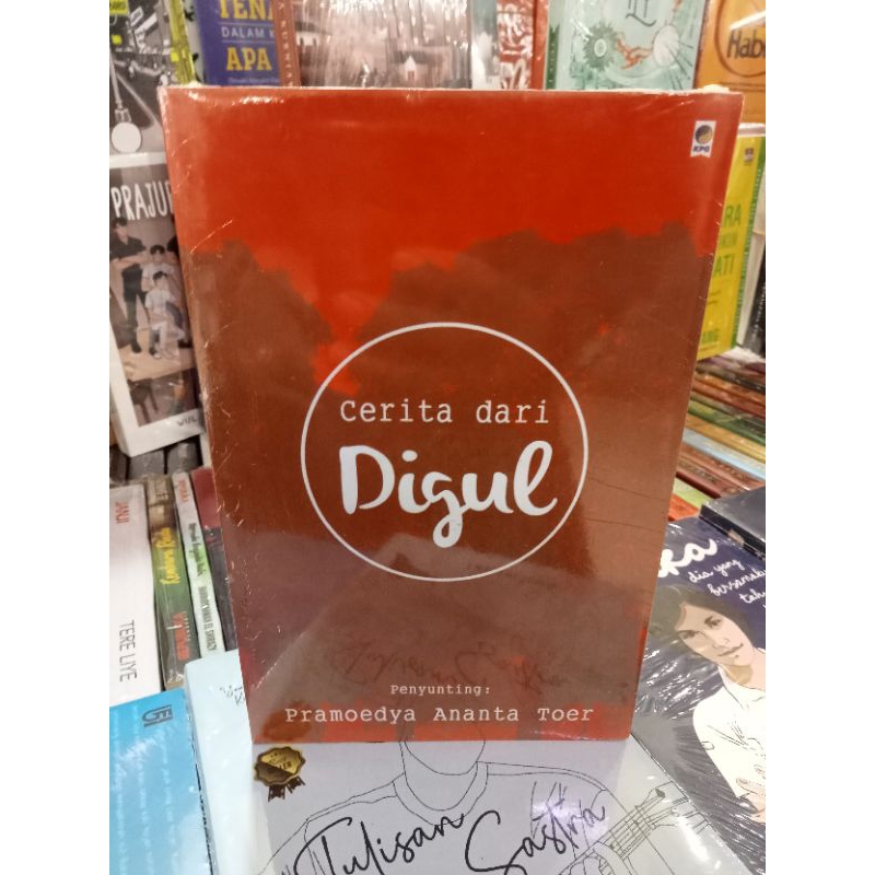 novel sastra cerita dari Digul by Pramoedya